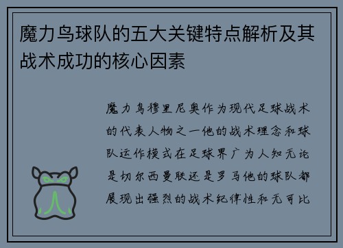 魔力鸟球队的五大关键特点解析及其战术成功的核心因素