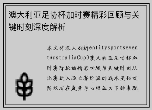 澳大利亚足协杯加时赛精彩回顾与关键时刻深度解析
